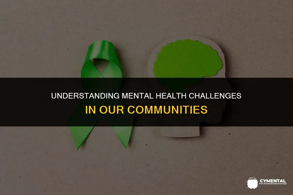 what are mental health issues in community