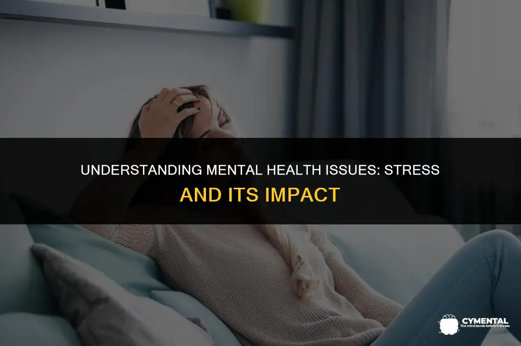what are mental health issues stress