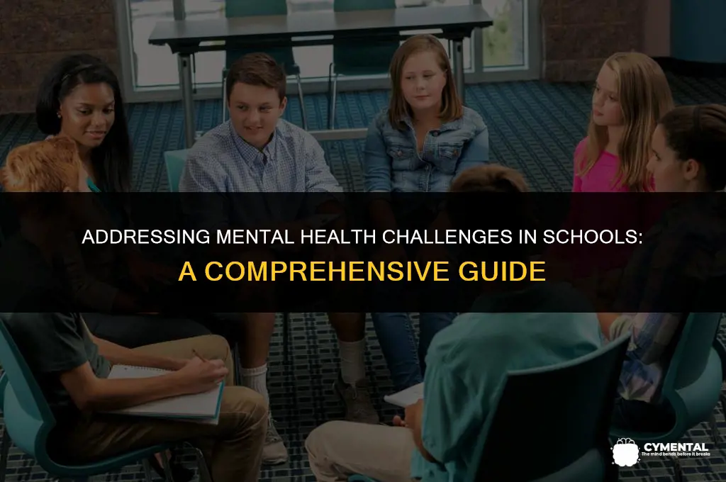 what are mental health issues that schools face