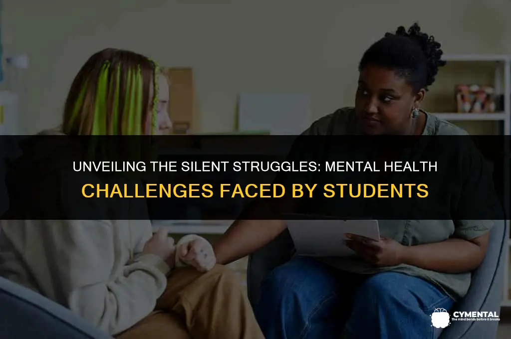 what are mental heath issues students deal with