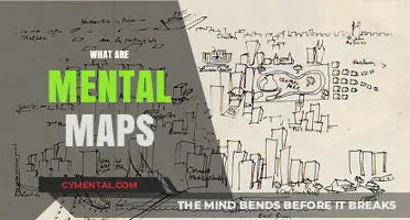 Exploring the Intricacies of Mental Maps: A Cognitive Journey