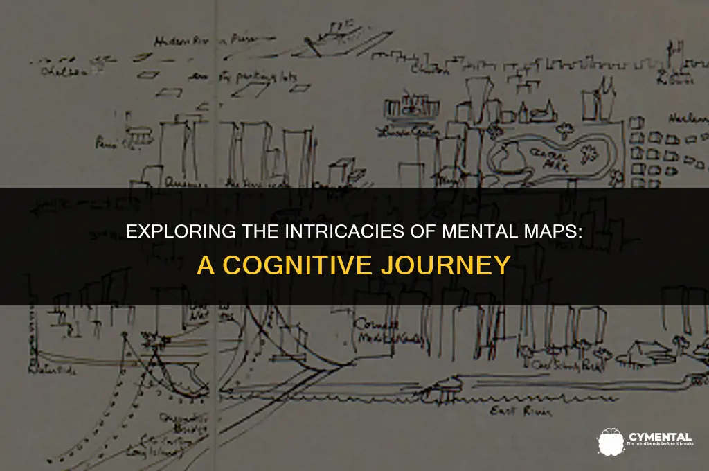 what are mental maps