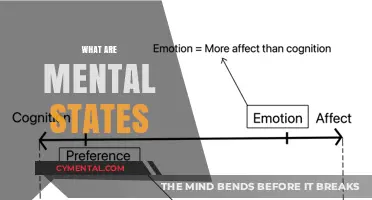 Exploring the Depths of Mental States: A Comprehensive Guide