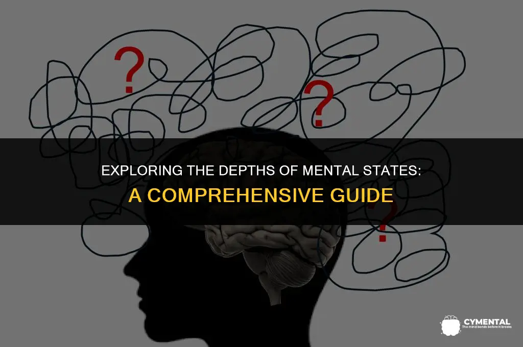 what are mental states