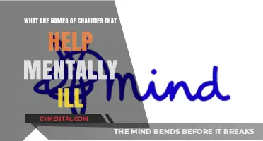 Supporting Mental Health: Charities Dedicated to Helping the Mentally Ill