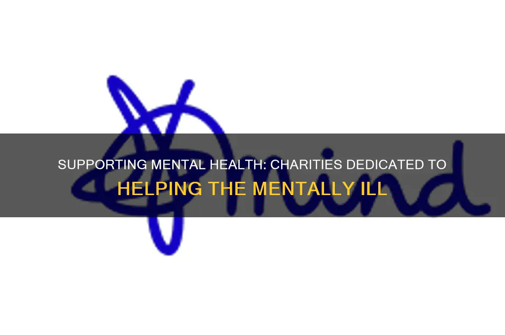 what are names of charities that help mentally ill
