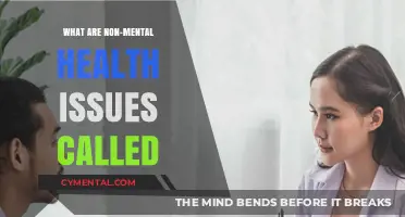 Exploring the Spectrum: Understanding Non-Mental Health Challenges