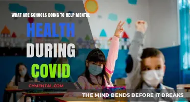 Schools' Strategies: Supporting Student Mental Health During the COVID Crisis