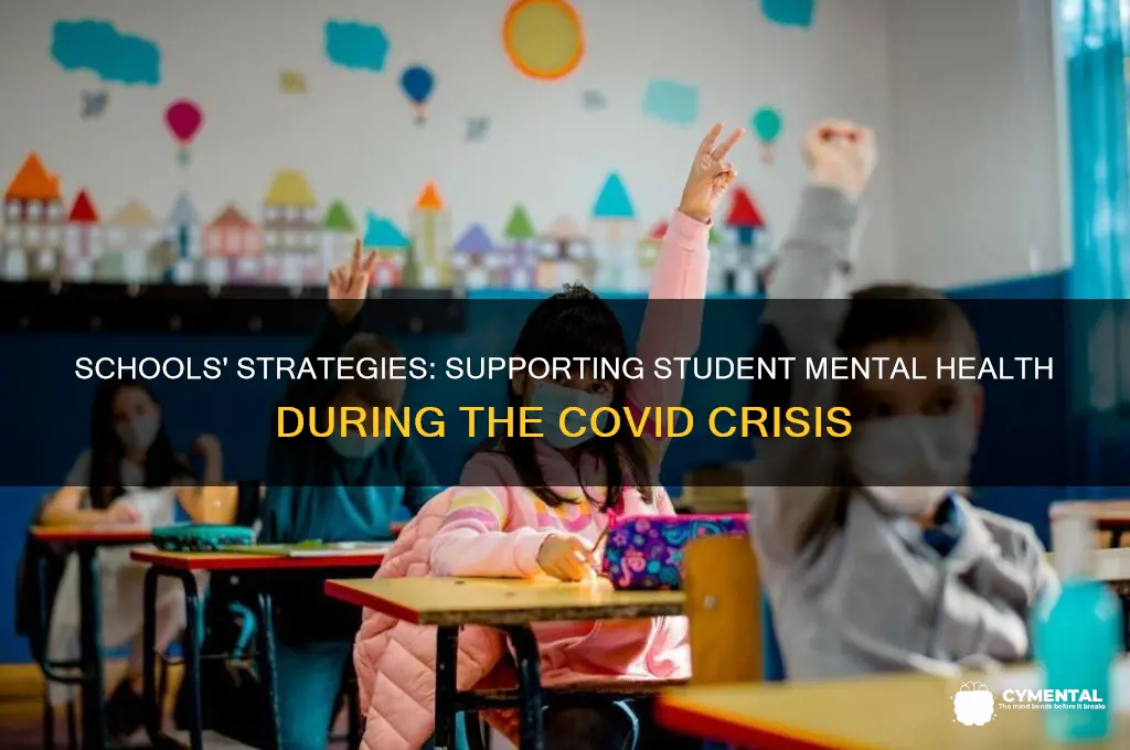 what are schools doing to help mental health during covid
