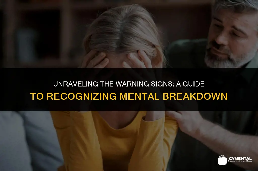 what are signs of mental breakdown