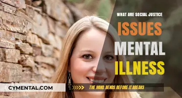 Unveiling the Intersection: Social Justice and Mental Illness Explored