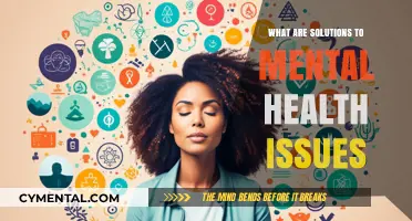 Exploring Effective Solutions for Mental Health Challenges