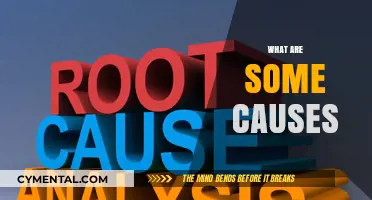 Exploring the Root Causes: A Comprehensive Analysis