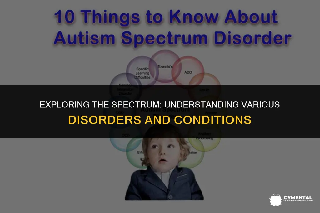 what are some disorders