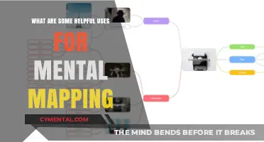 Unlock Creativity: Practical Uses of Mental Mapping for Productivity