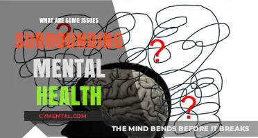 Unveiling the Complexities: Mental Health Issues in Focus