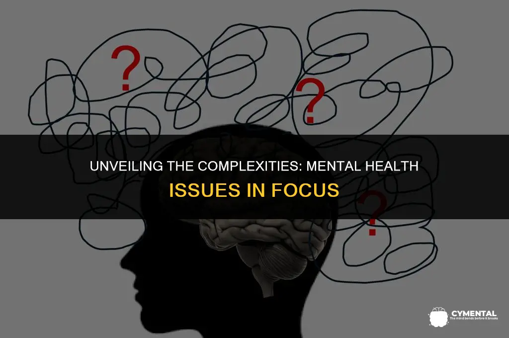 what are some issues surrounding mental health