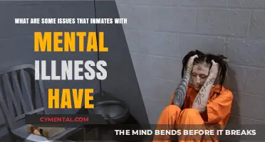 Challenges Faced by Inmates with Mental Illness: A Closer Look