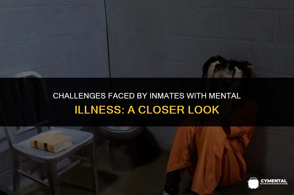 what are some issues that inmates with mental illness have