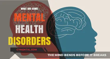 Understanding Mental Health Disorders: A Comprehensive Guide