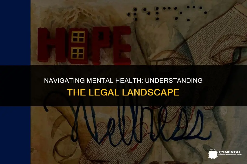 what are somelegal issues dealing with mental health