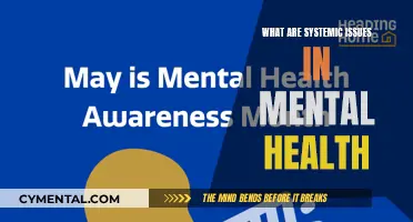 Unveiling the Complex Web: Systemic Issues in Mental Health