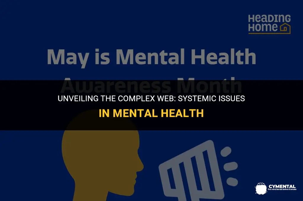 what are systemic issues in mental health