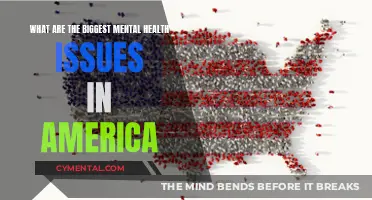 Unveiling the Silent Struggles: America's Most Pressing Mental Health Concerns