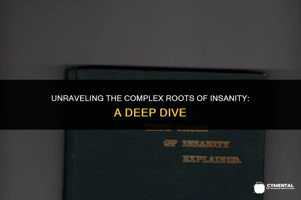 what are the causes of insanity