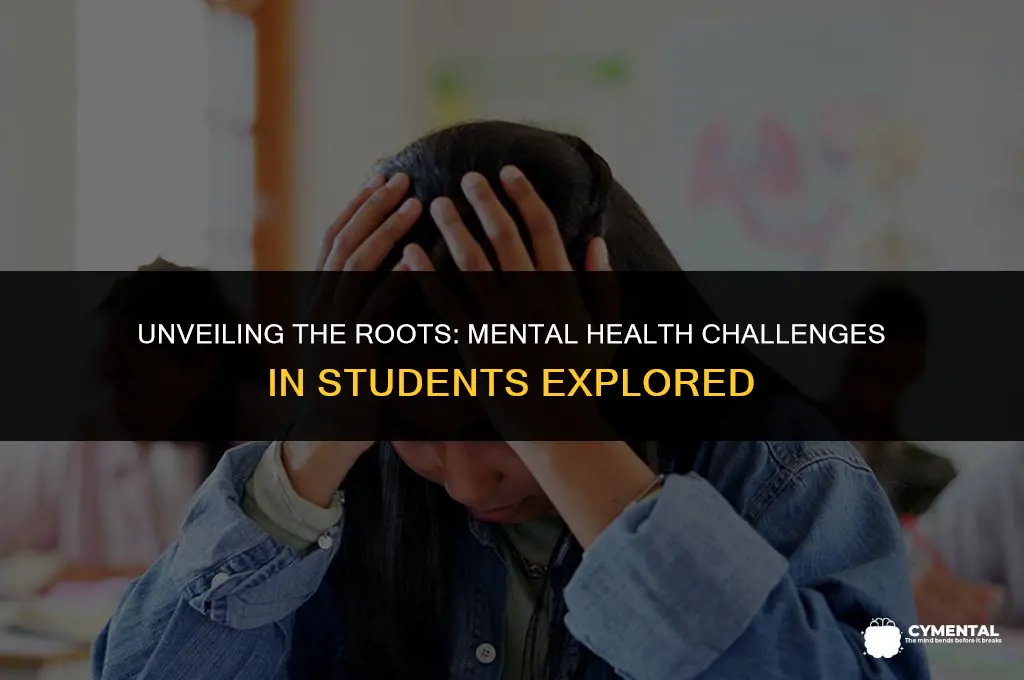 what are the causes of mental health issues in students