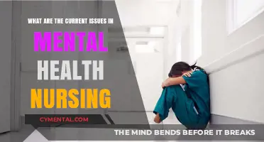 Navigating Complexities: Current Challenges in Mental Health Nursing