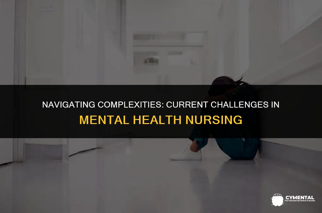 what are the current issues in mental health nursing