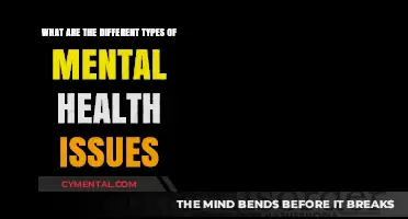 Understanding Mental Health: A Guide to Common Issues and Disorders
