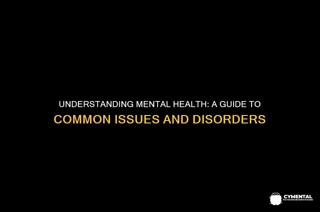 what are the different types of mental health issues