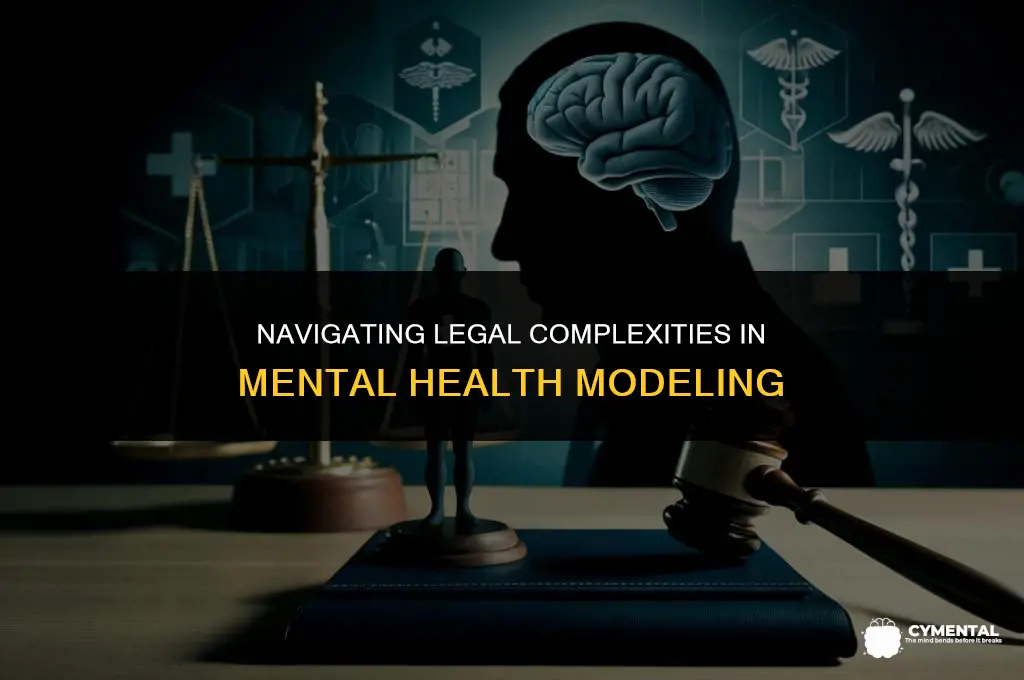 what are the legal issues for the mental health model