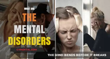 Exploring the Complexity of Mental Disorders: A Comprehensive Guide