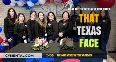 Unveiling the Mental Health Challenges Confronting Texas Today