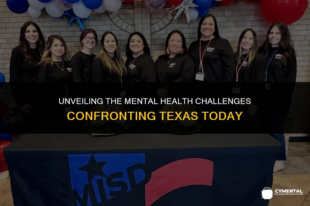 what are the mental health issues that texas face