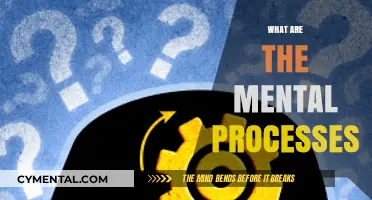 Exploring the Intricacies of Mental Processes: A Deep Dive