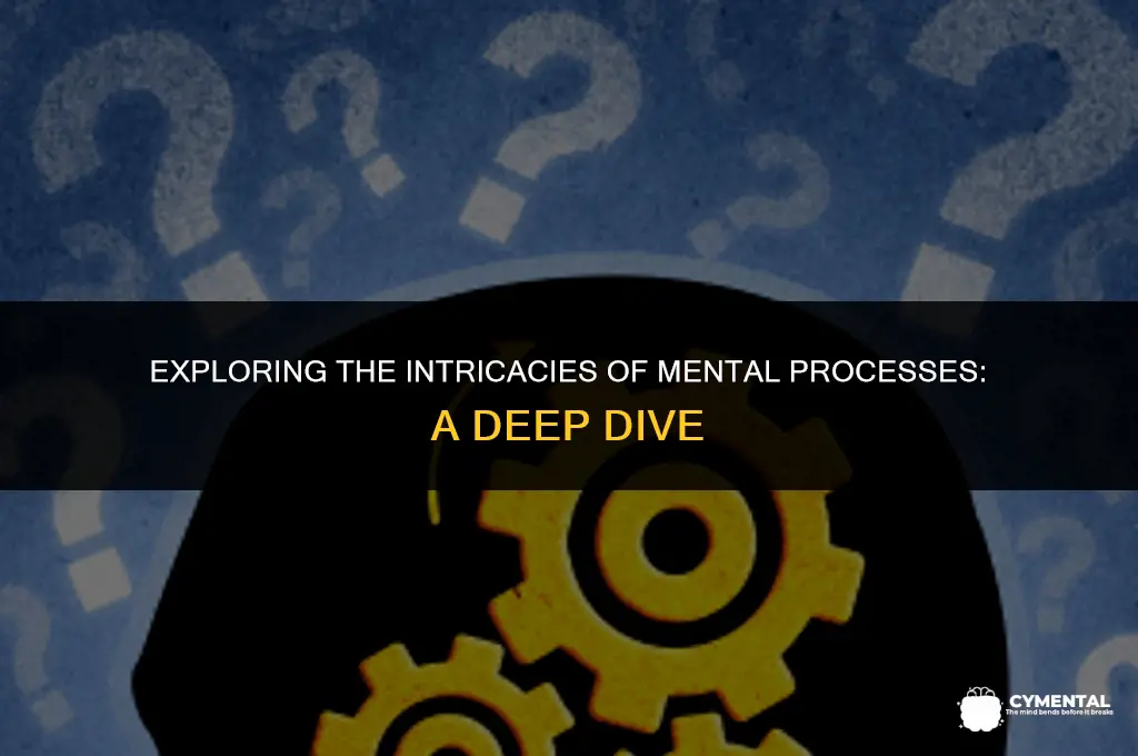 what are the mental processes