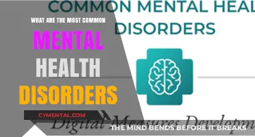 Understanding Mental Health: A Guide to Common Disorders