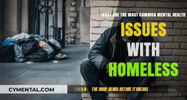 Understanding Homelessness: Prevalent Mental Health Challenges Faced by the Homeless Community