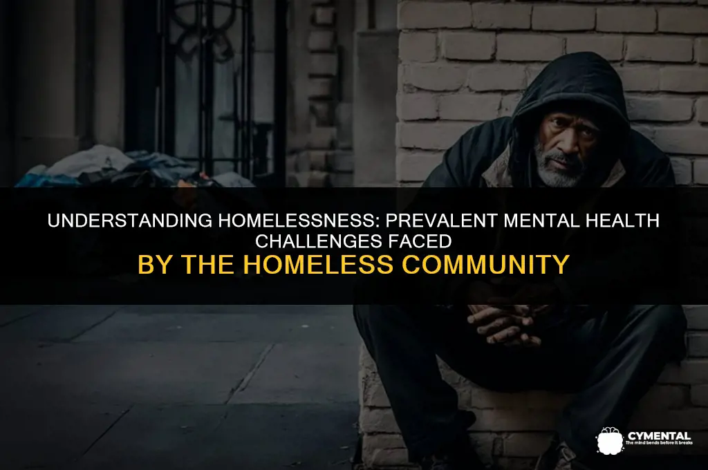 what are the most common mental health issues with homeless