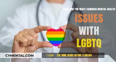 Understanding LGBTQ Mental Health: Common Issues and Support