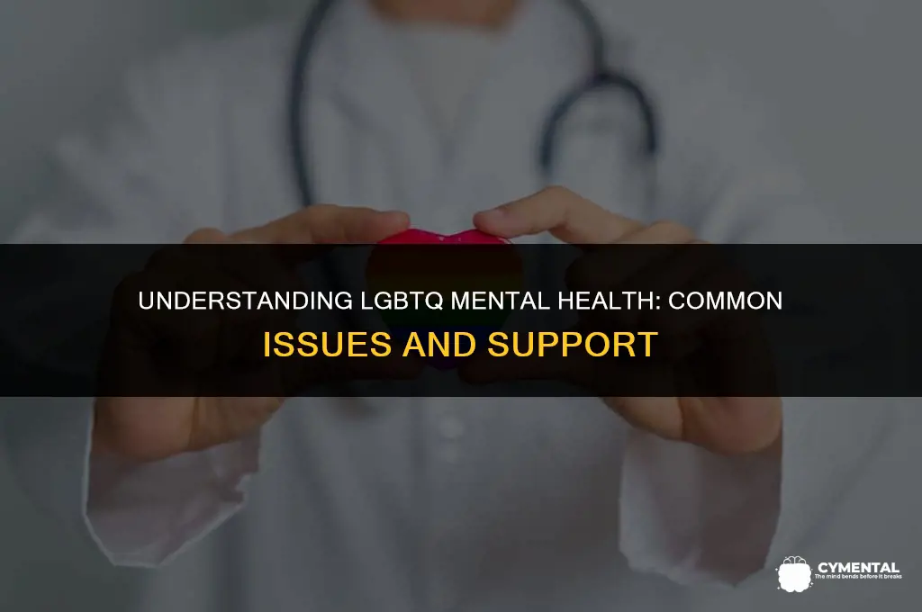 what are the most common mental health issues with lgbtq