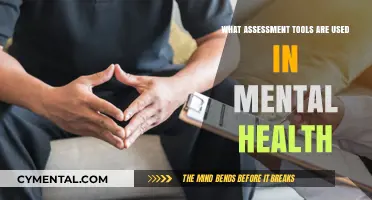 Exploring Assessment Tools in Mental Health: A Comprehensive Guide