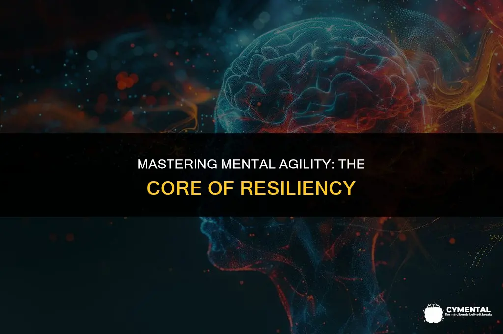 what best describes the key resiliency competency of mental agility