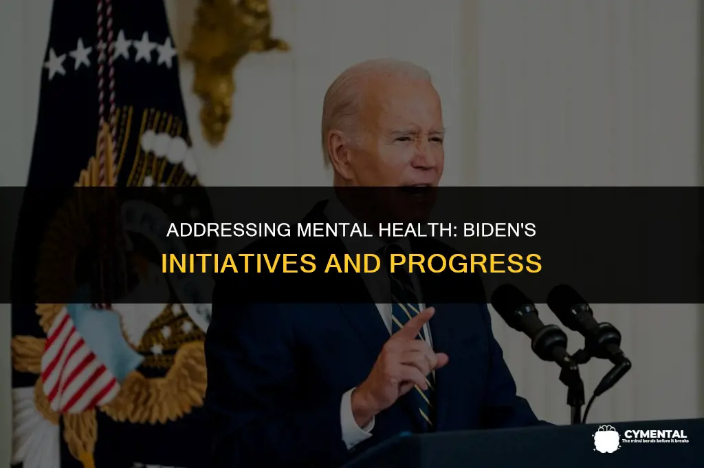 what biden is doing for mental health issues