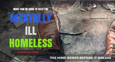 Supporting the Mentally Ill Homeless: Compassionate Solutions for Healing and Hope