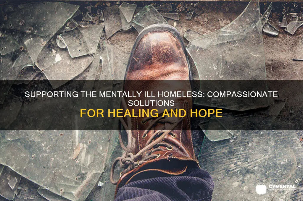 what can be done to help the mentally ill homeless